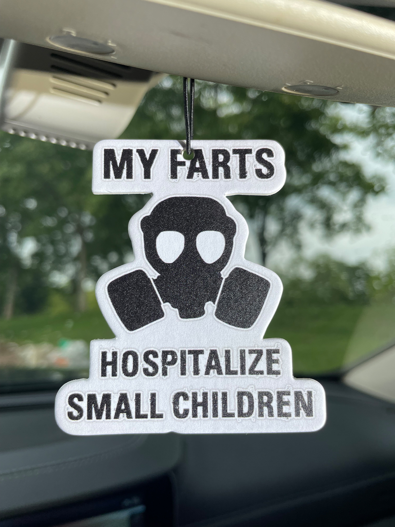 My Farts Hospita/Hilton Fresh  - Perfume Fragrance Type 评论和价格